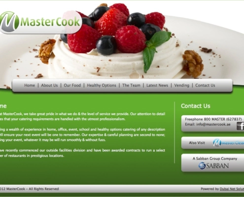 MasterCook 495x400 - Design Portfolio