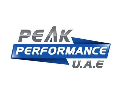 Peak Performance Logo 495x400 - Colours Meaning in Logos